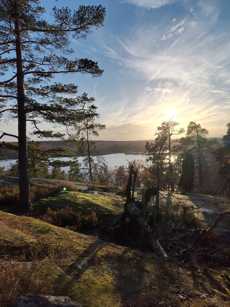 engel's profile header