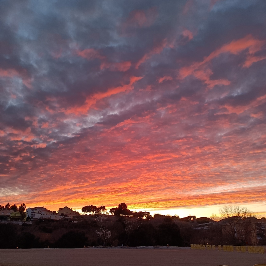 pmarrai's profile header