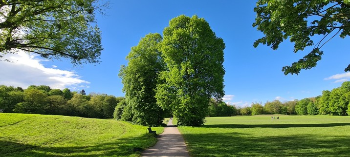 Ein Weg im Park führt zwischen zwei Linden hindurch. Rechts und links weitläufige Wiesen, die durch Waldstücke begrenzt werden.