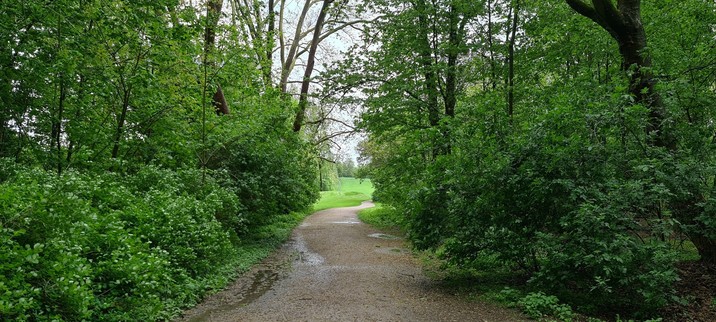 Geschlängelter Spazierweg im Park zwischen Bäumen und Sträuchern. Am Ende eine Wiese.