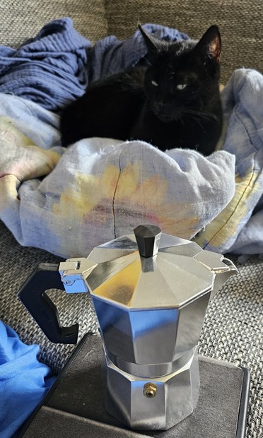 Foto: Espressokocher aus Aluminium mit Ventil, dahinter thront die schwarze Katze Motte auf einem Deckennest