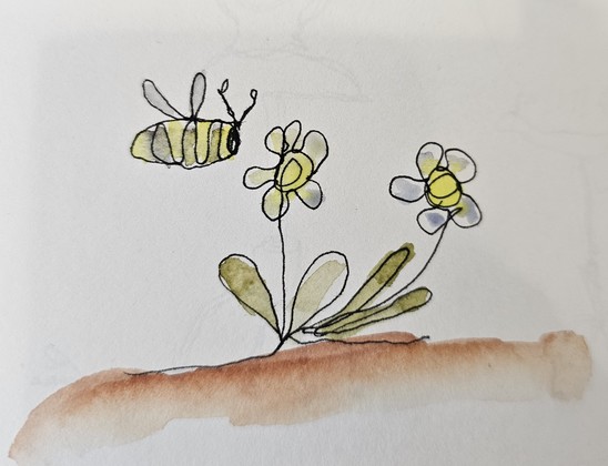 Aquarell mit Fineliner: Bienchen vor zwei Gänseblümchen- One-Line-Art