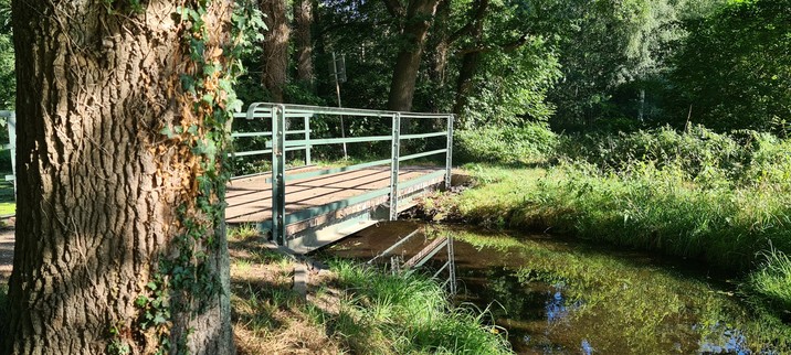 Holzbrücke mit grün angestrichenem Metallgeländer führt über einen Bach. Sonniges Wetter.