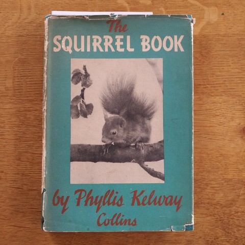 foto des buches "the squirrel book" von phyllis kelway