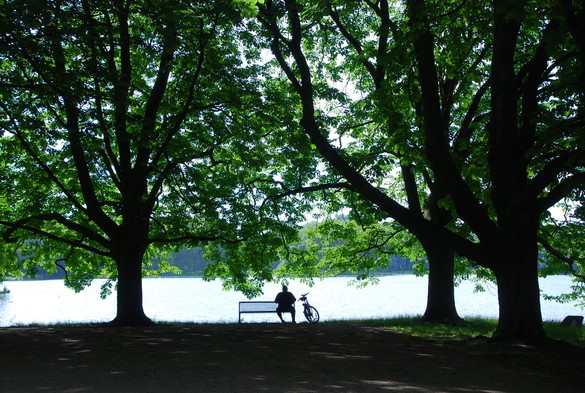 Ein Mann sitzt unter Bäumen auf einer Parkbank und blickt auf einen See. Neben ihm steht ein Fahrrad.
Gegenlichtaufnahme, der Vordergrund liegt im Schatten, Bäume und der Mann sind fast nur Silhouetten. Der See liegt im vollen Sonnenlicht.