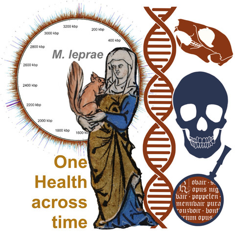 der graphical abstract zum artikel. man sieht eine kreisgrafik mit kbp-werten, eine zeichnung aus einem alten dokument,  in der eine figur ein rotes eichchörnchen auf dem arm hält, links daneben der schriftzug "one health across time", rechts eine stilisierte grafik der DNA, rechts davon übereinander zeichnungen eines eichhörnchen-schädels, eines menschlichen schädels und eines ausschnitts aus einem alten dokument, gezeigt im runden ausschnitt einer lupe