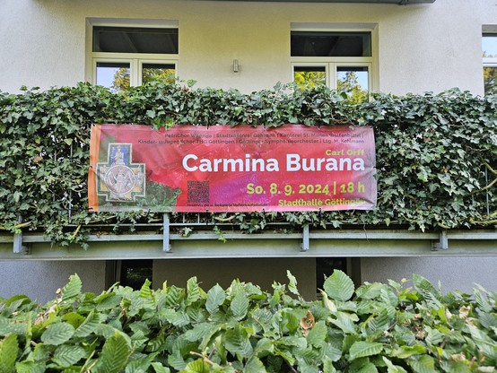 Efeu-bewachsener Balkon mit rosarotem Banner mit Werbung für ein Chorkonzert am 8.9.2024 um 18 Uhr in der Stadthalle Göttingen. Gesungen wird das Stück Carmina Burana von Carl Orff. 