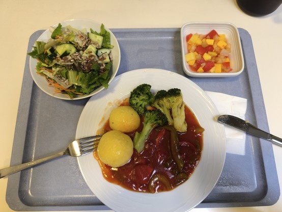 Das Foto zeigt ein Tablett, darauf unten mittig ein Teller, oben links eine Salatschale und oben rechts eine Schale mit Obst. Auf dem Teller mein Mittagessen: Eineinhalb Kartoffelknödel, Brokkoli und Paprika Soße. 
