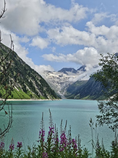 Türkiser Stausee mit Gletscher im Hintergrund und lila Blumen im Vordergrund.