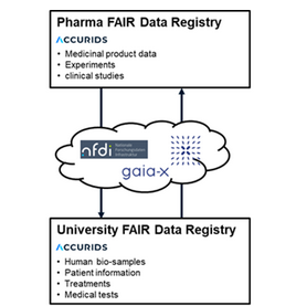 Screenshot from Newsletter: ACCURDIS Solution with FAIR Data Registry Software for PIDs in distributed Environments