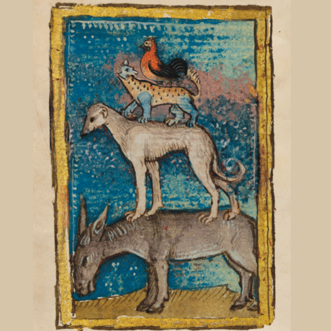 Tierdarstellung aus spätmittelalterlichen Handschriften - der Hahn, die Katze, der Hund und der Esel.
Die Bremer Stadtmusikanten neu interpretiert.