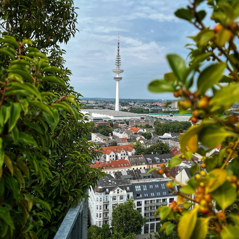 Blick auf den Telemichel und die Hamburger Messe von oben