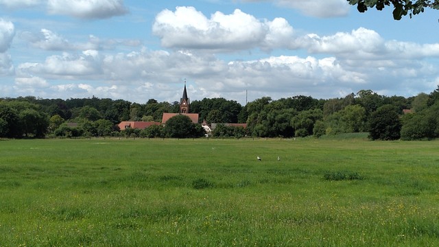 Vorne grüne Wiese, darauf zwei Störche. Dahinter drei Häuser, eine Kirche in rotem Backstein sowie Bäume. Darüber Himmel mit Wolken.