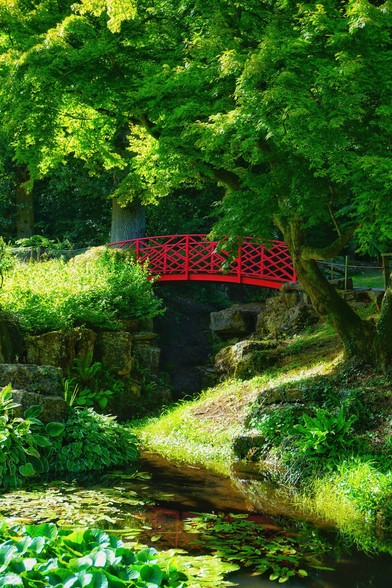 Photo of a red, slightly curved, Asian-style footbridge from the side. The bridge leads over a small, narrow gorge through which a stream flows. The stream flows into a water lily pond, which can be seen in the lower part of the photo. In the upper part of the photo, the bridge is framed by old green trees.