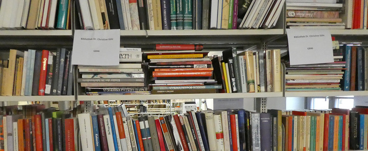 Bücher bei der Einarbeitung, Foto: Sophia Manns-Süßbrich (2022)