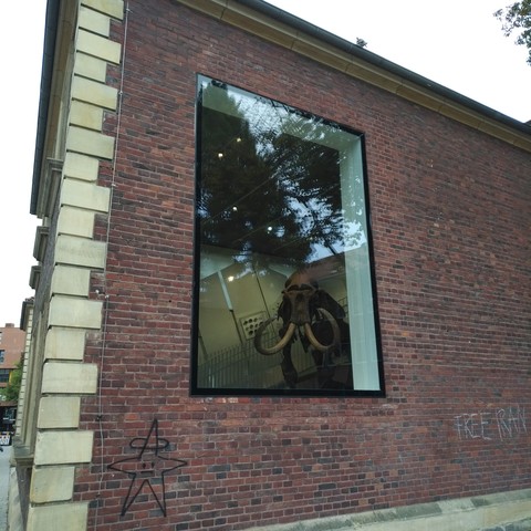 foto der gebäudeseite des geomuseums münster, durch dessen panoramafenster man das skelett eines mammuts sehen kann