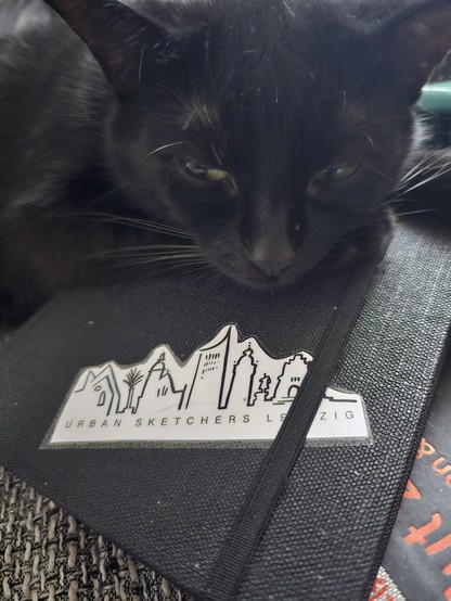 Schwarze Katze Hummel liegt auf dem Skizzenbuch mit dem Sticker Urban Sketchers Leipzig,  das wiederum erahnen lässt, dass es auf dem Buch 