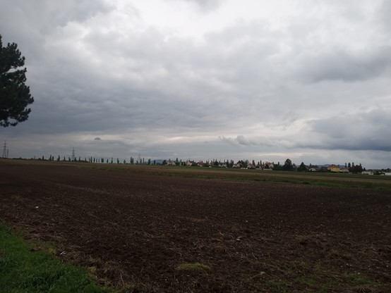 Wide open fields with some trees and houses in the back. Faint outllines of mountains at the horizon.