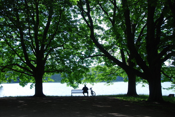 Unter Bäumen sitzt ein Mann auf einer Bank am See. Neben ihm steht ein Fahrrad.