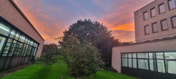 Blick aus der Dokulief - man sieht rechts und links Gebäudeteile der UB und blickt geradeaus auf Rasen, Büsche, Bäume. Dahinter sieht man ein tolles morgendliches Farbenspiel mit Himmel und Wolken, die orange von der Sonne angeleuchtet werden. 