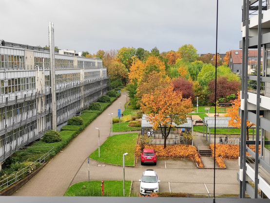 Foto aus dem 3. Stockwerk eines Gebäudes auf den Campus 