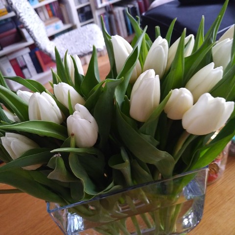 foto von weißen tulpen in einer vase auf einem holztisch