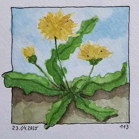 Aquarell: Löwenzahn mit 3 Blüten vor blauem Himmel 