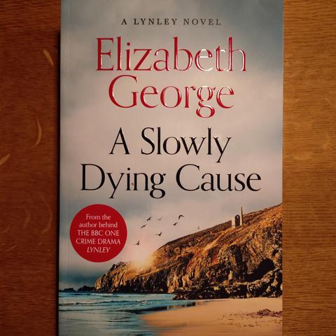 foto des buches "a slowly dying cause" von elizabeth george