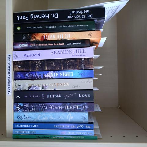 foto einiger bücher in einem regalfach; zu besseren lesbarkeit der titel auf den buchrücken wurde das foto um 90 grad nach rechts gedreht