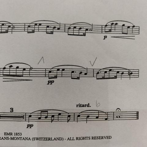 foto eines notenaussschnitts des endes eines werkes