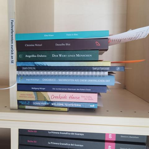 foto einiger bücher in einem regalfach; zu besseren lesbarkeit der titel auf den buchrücken wurde das foto um 90 grad nach rechts gedreht