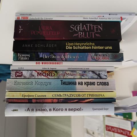 foto einiger bücher auf einem schreibtisch; zu besseren lesbarkeit der titel auf den buchrücken wurde das foto um 180 grad gedreht