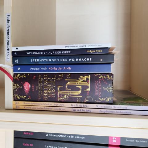 foto einiger bücher in einem regalfach; zu besseren lesbarkeit der titel auf den buchrücken wurde das foto um 90 grad nach rechts gedreht