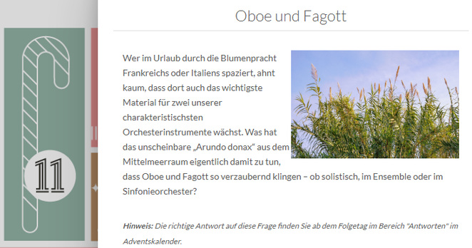 screenshot aus dem adventskalender mit folgender frage:
"Oboe und Fagott
Wer im Urlaub durch die Blumenpracht Frankreichs oder Italiens spaziert, ahnt kaum, dass dort auch das wichtigste Material für zwei unserer charakteristischsten Orchesterinstrumente wächst. Was hat das unscheinbare „Arundo donax“ aus dem Mittelmeerraum eigentlich damit zu tun, dass Oboe und Fagott so verzaubernd klingen – ob solistisch, im Ensemble oder im Sinfonieorchester?"