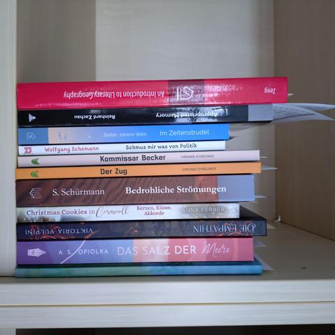 foto einiger bücher in einem regalfach; zu besseren lesbarkeit der titel auf den buchrücken wurde das foto um 90 grad nach rechts gedreht