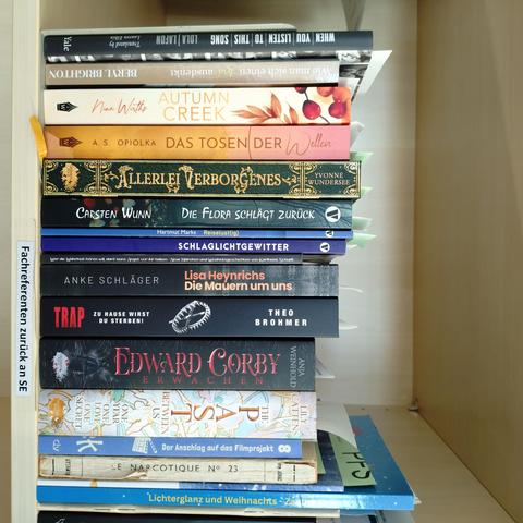 foto einiger bücher in einem regalfach; zu besseren lesbarkeit der titel auf den buchrücken wurde das foto um 90 grad nach rechts gedreht