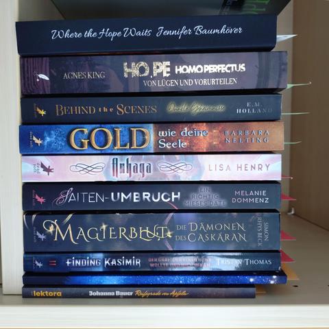 foto einiger bücher in einem regalfach; zu besseren lesbarkeit der titel auf den buchrücken wurde das foto um 90 grad nach rechts gedreht