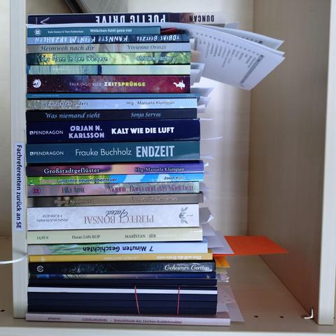 foto einiger bücher in einem regalfach; zu besseren lesbarkeit der titel auf den buchrücken wurde das foto um 90 grad nach rechts gedreht