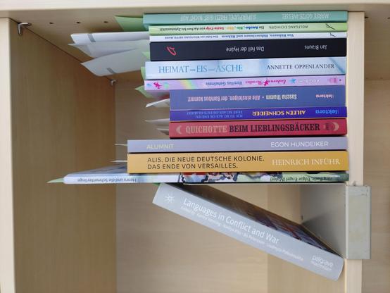 foto einiger bücher in einem regalfach; zu besseren lesbarkeit der titel auf den buchrücken wurde das foto um 90 grad nach rechts gedreht