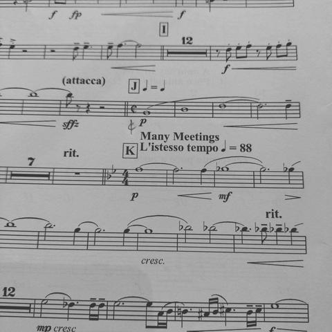 foto eines ausschnitts von orchesternoten eines medleys aus dem soundtrack zu "herr der ringe" mit einer liedbezeichnung "many meetings" 