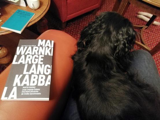 Foto des Buchs "Large Language Kabbala" von Martin Warnke (Matthes & Seitz) auf einer Sessellehne. Im Sessel sind die Beine des Lesers zu erkennen, weitgehend belegt von einer Cavalier King Charles Spaniel-Hündin.