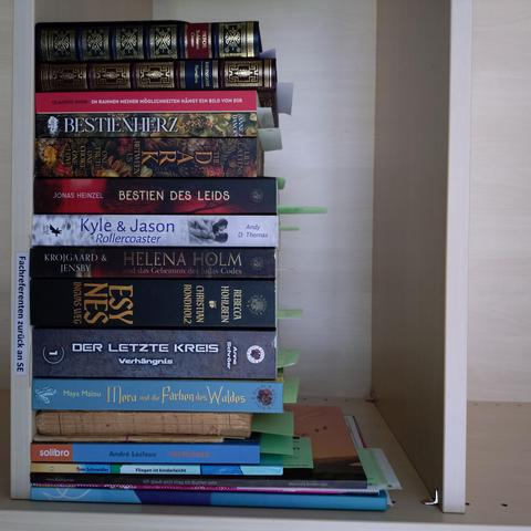 foto einiger bücher in einem regalfach; zu besseren lesbarkeit der titel auf den buchrücken wurde das foto um 90 grad nach rechts gedreht