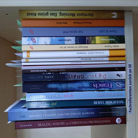 foto einiger bücher in einem regalfach; zu besseren lesbarkeit der titel auf den buchrücken wurde das foto um 90 grad nach links gedreht