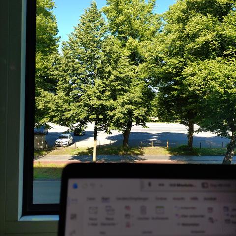 foto eines blick aus einem fenster auf eine straße und große grüne bäume, davor ist die ecke eines laptops zu sehen