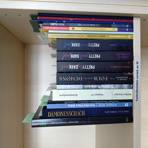 foto einiger bücher in einem regalfach; zu besseren lesbarkeit der titel auf den buchrücken wurde das foto um 90 grad nach links gedreht