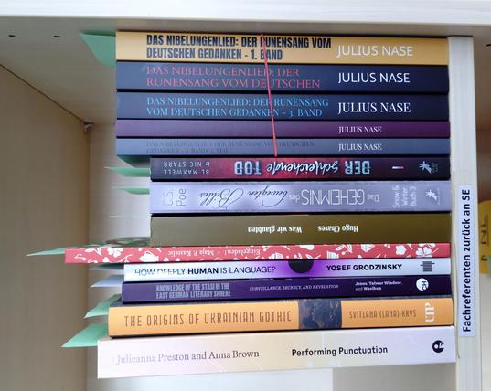 foto einiger bücher in einem regalfach; zu besseren lesbarkeit der titel auf den buchrücken wurde das foto um 90 grad nach links gedreht
