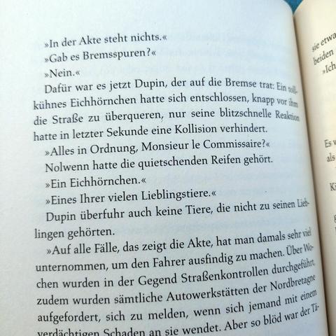 foto eines ausschnitts aus dem buch "bretonischer glanz – kommissar dupins fünfzehnter fall": "Dafür war es jetzt Dupin, der auf die Bremse trat; Ein tollkühnes Eichhörnchen hatte sich entschlossen, knapp vor ihm die Straße zu überqueren, nur seine blitzschnelle Reaktion hatte in letzter Sekunde eine Kollision verhindert."