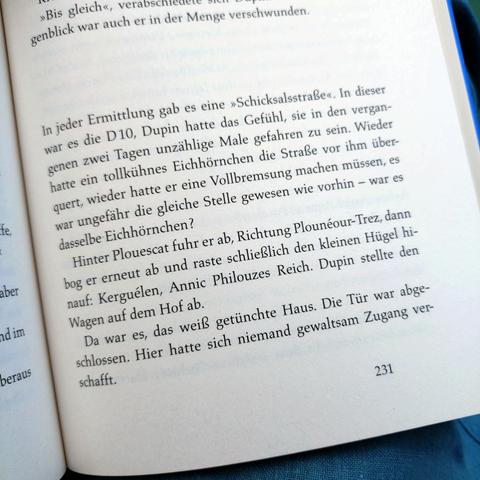 foto eines ausschnitts aus dem buch "bretonischer glanz – kommissar dupins fünfzehnter fall": "Wieder hatte ein tollkühnes Eichhörnchen die Straße vor ihm überquert, wieder hatte er eine Vollbremsung machen müssen, es war ungefähr die gleiche Stelle gewesen wie vorhin – war es dasselbe Eichhörnchen?"