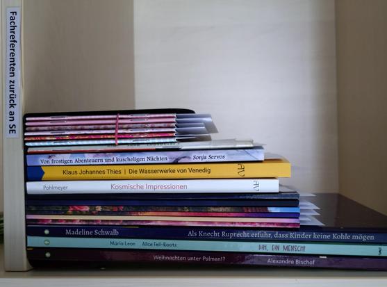 foto einiger bücher in einem regalfach; zu besseren lesbarkeit der titel auf den buchrücken wurde das foto um 90 grad nach rechts gedreht