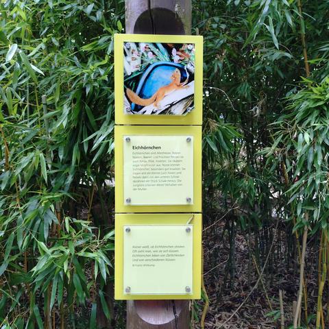 foto einer infotafel zu eichhörnchen im münsteraner zoo